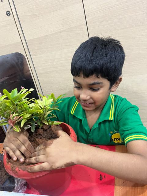 Planting and caring for a sapling