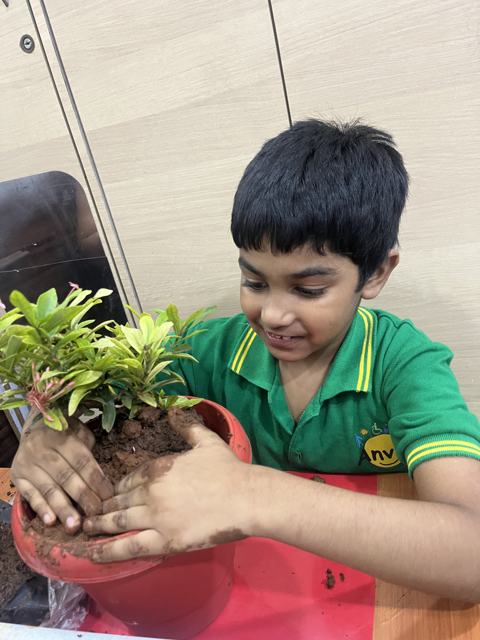 Getting hands muddy while potting a plant